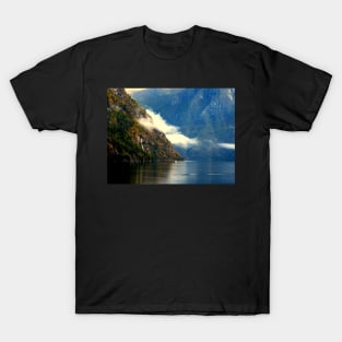 Norway 4 T-Shirt